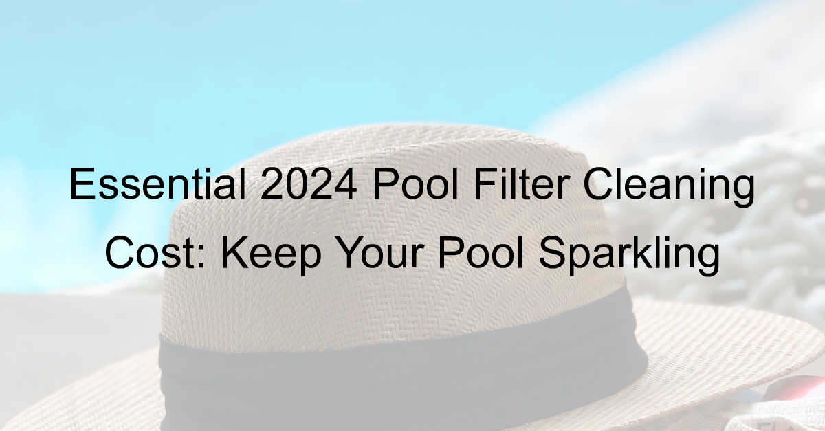 pool filter cleaning cost